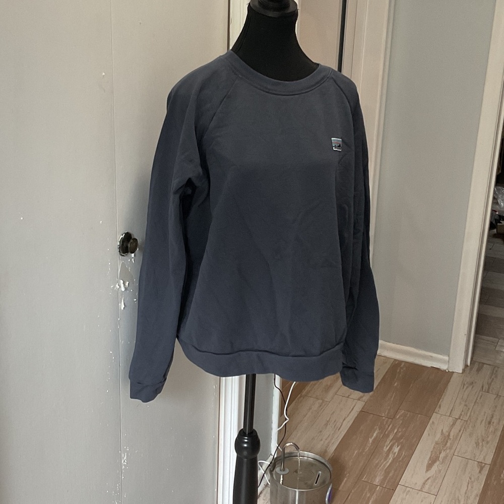 P426. Patagonia Blue/Gray Sweatshirt |L